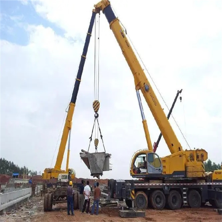 大岭山镇小型吊机出租电话|厂房设备吊装方案|24小时服务覆盖