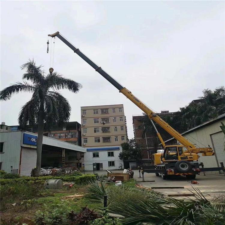 大岭山镇树木移栽装卸